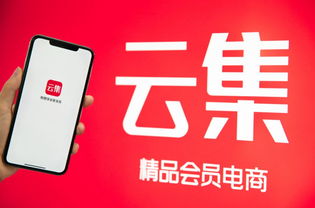 巨头的围抢中，会员电商云集的“成长飞轮”还在加速
